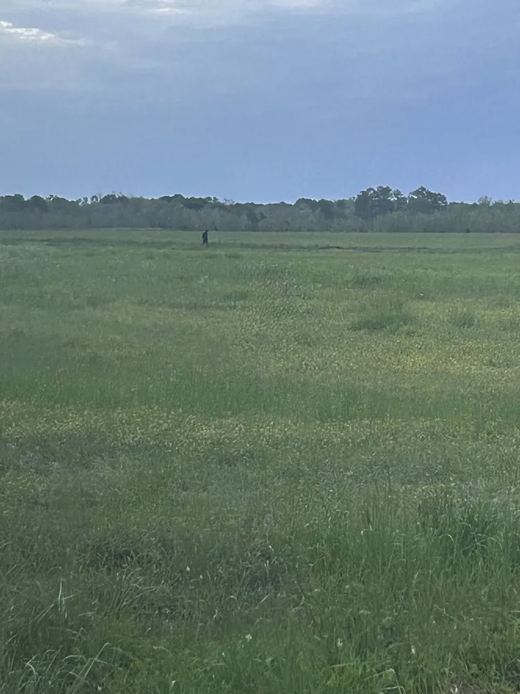 Local yard maintenance in Liberty, TX - Treeces Lawn Care