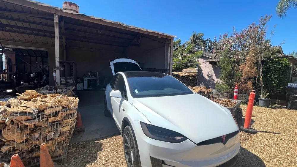 Trusted outdoor landscaping in La Habra, CA by Treeco Arborist