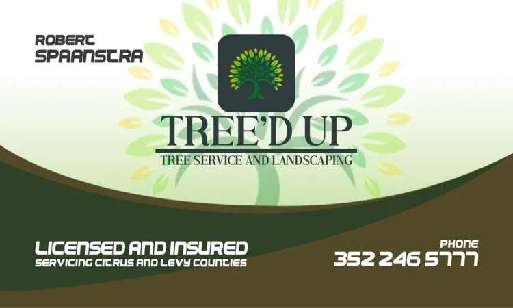 Top-rated yard cleanup service with custom design in Yankeetown, FL by Tree'D Up