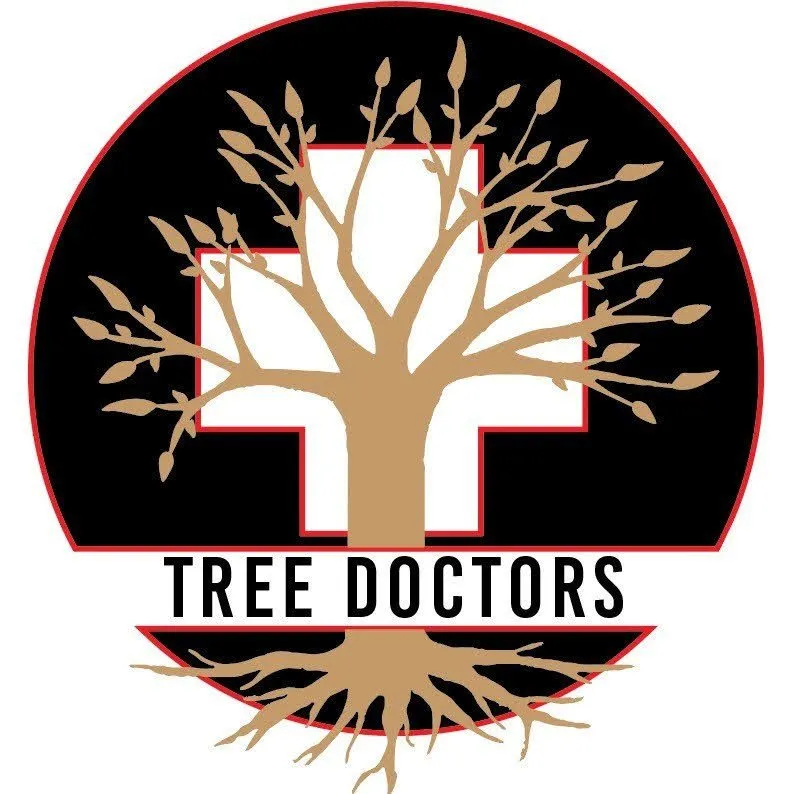 Expert landscaping services for homes in Nacogdoches, TX by TreeDoctors