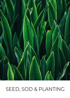 Professional garden landscaping for residential properties in Nacogdoches, TX by TreeDoctors