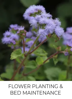 Reliable outdoor landscaping with custom design in Nacogdoches, TX by TreeDoctors