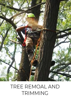 Expert garden landscaping for beautiful yards across Nacogdoches, TX - TreeDoctors