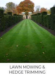 Local garden landscaping in Nacogdoches, TX by TreeDoctors