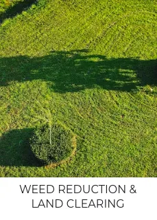 Professional outdoor landscaping for homes in Nacogdoches, TX by TreeDoctors