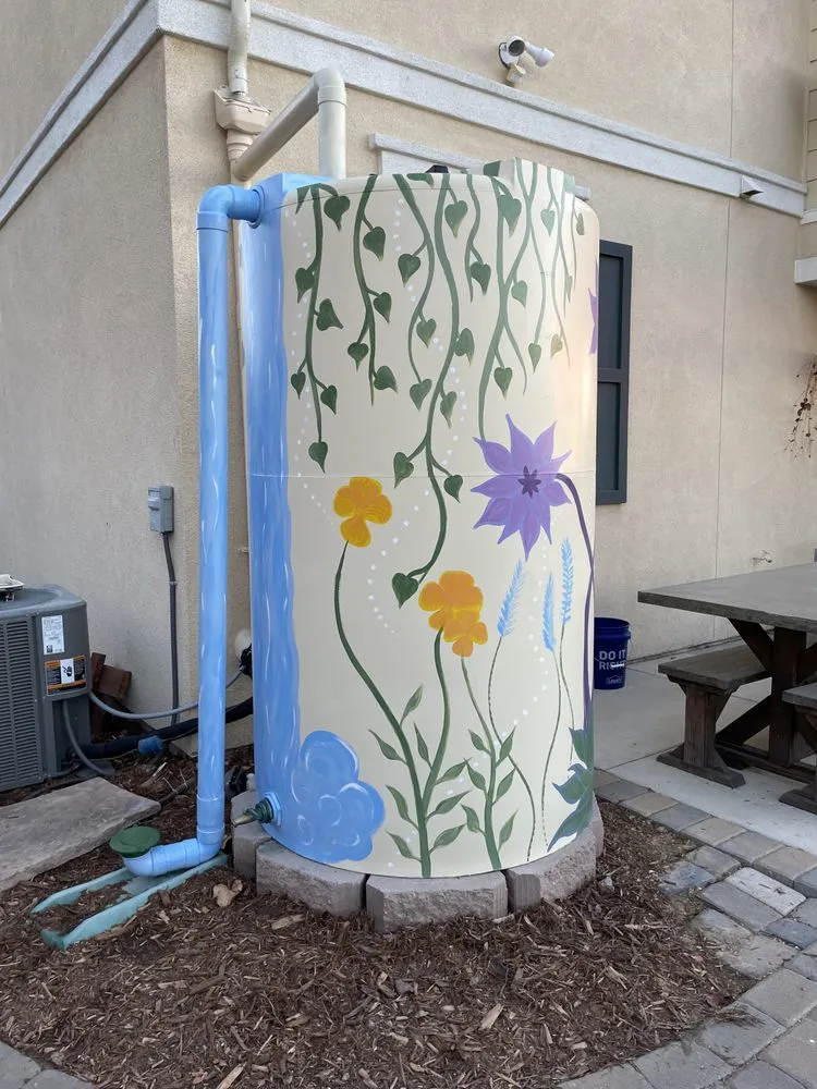 Trusted landscape installation in San Diego, CA - Treedom Landscape and Design