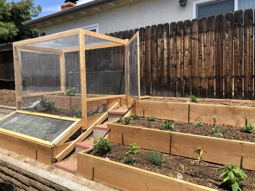 Professional landscape installation in San Diego, CA by Treedom Landscape and Design