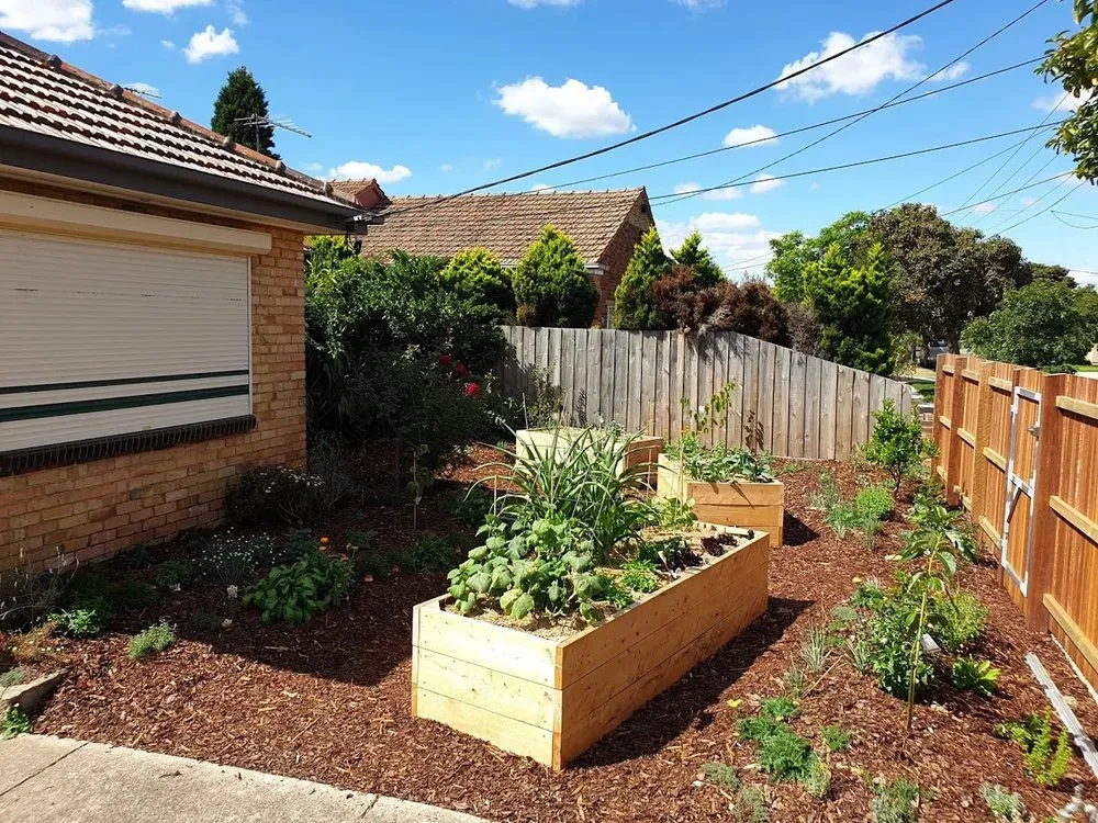 Local yard maintenance in San Diego, CA by Treedom Landscape and Design