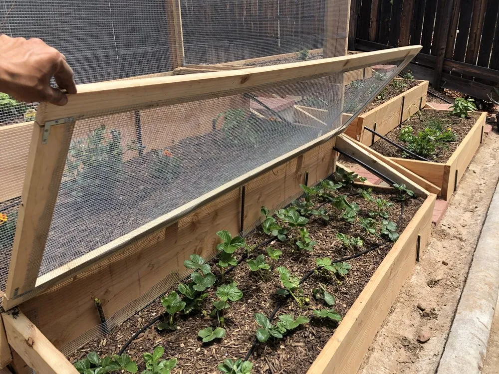 Reliable landscape design in San Diego, CA - Treedom Landscape and Design