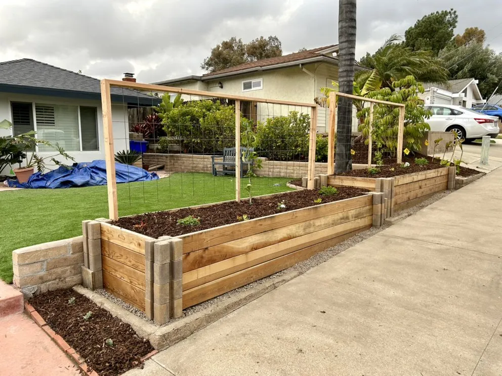 Local landscape design in San Diego, CA by Treedom Landscape and Design