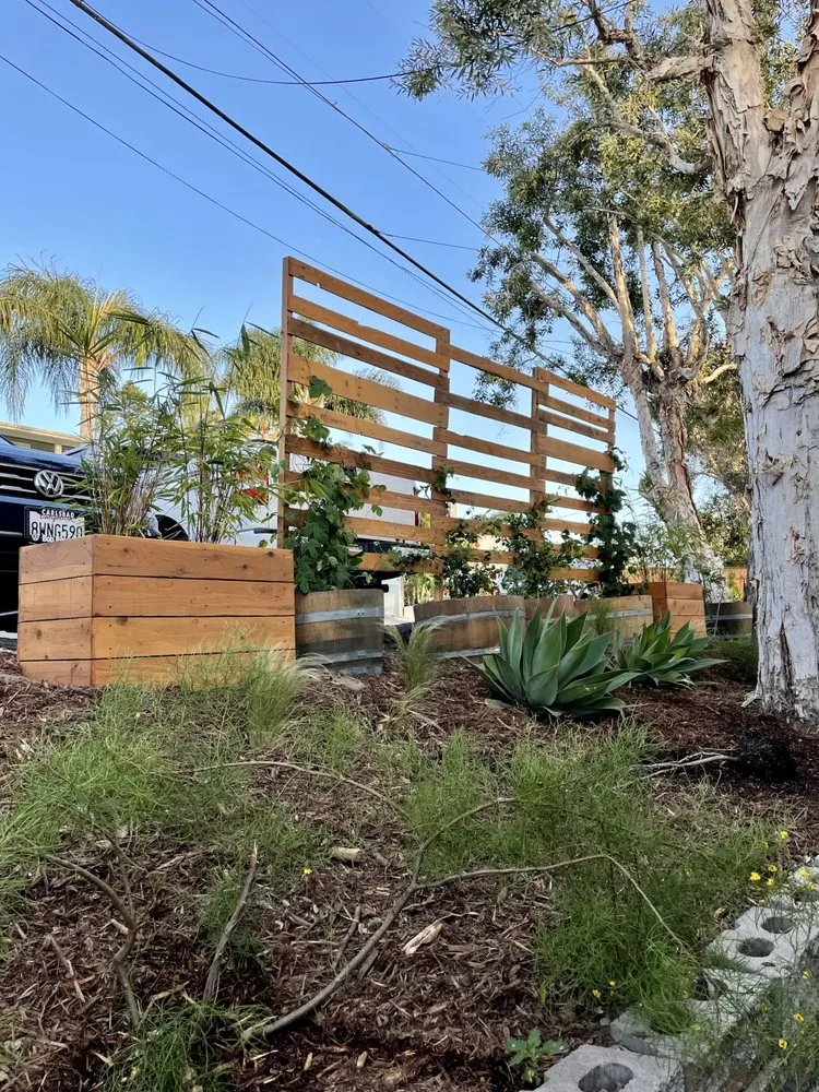 Trusted outdoor landscaping experts serving San Diego, CA - Treedom Landscape and Design