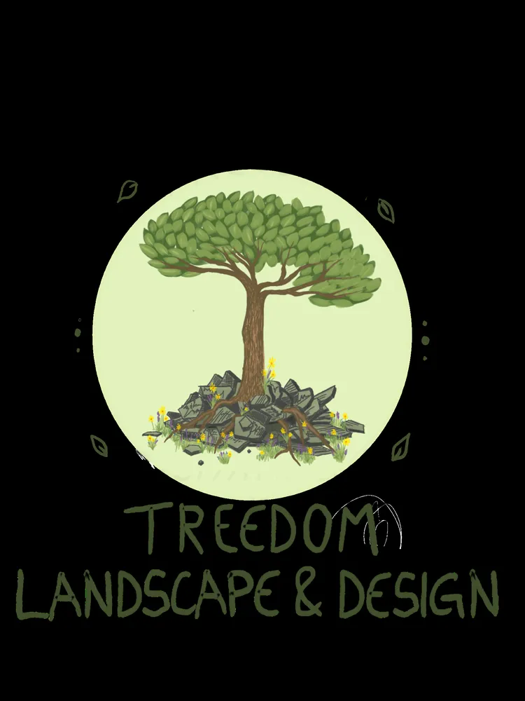 Custom residential landscaping experts serving San Diego, CA - Treedom Landscape and Design