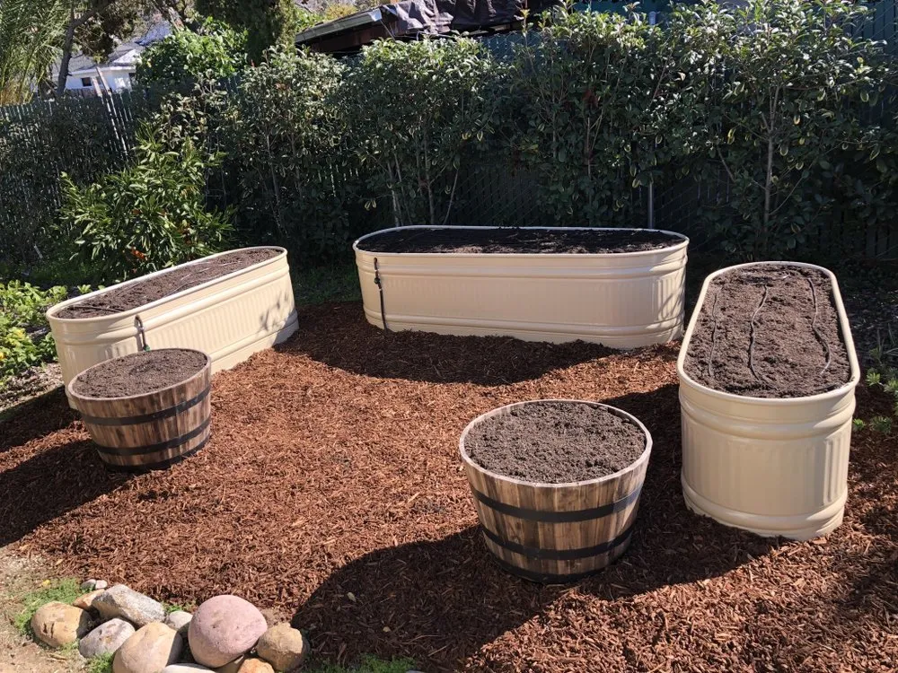 Local outdoor landscaping experts serving San Diego, CA - Treedom Landscape and Design