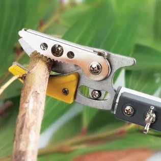 Reliable landscape installation in Cocoa, FL - TreeDrop Landscaping & Removal