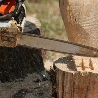 Top-rated landscape installation experts serving Cocoa, FL - TreeDrop Landscaping & Removal