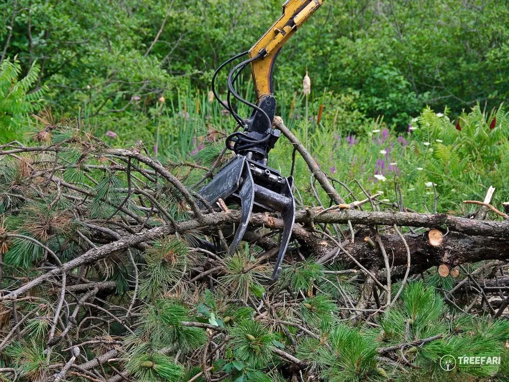 Custom landscape design with custom design across Austin, TX - Treefari