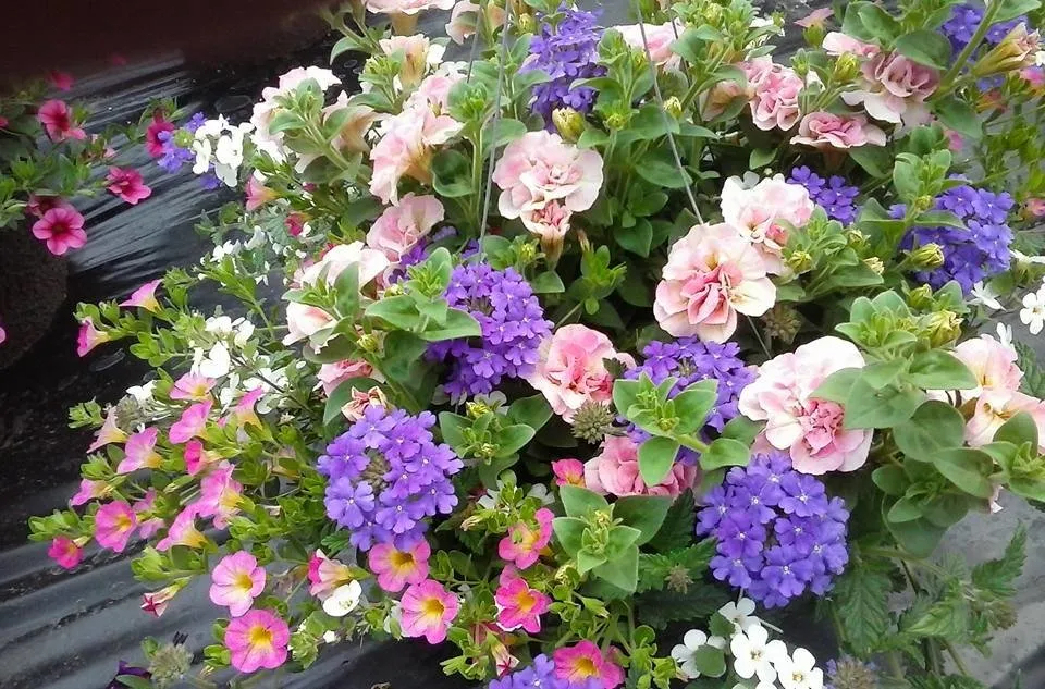 Expert yard maintenance for residential properties in Rexburg, ID by Treehouse Nursery & Landscape