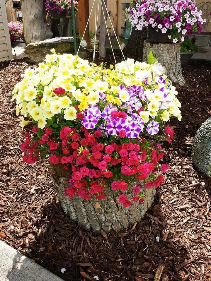 Local landscape design for beautiful yards across Rexburg, ID - Treehouse Nursery & Landscape