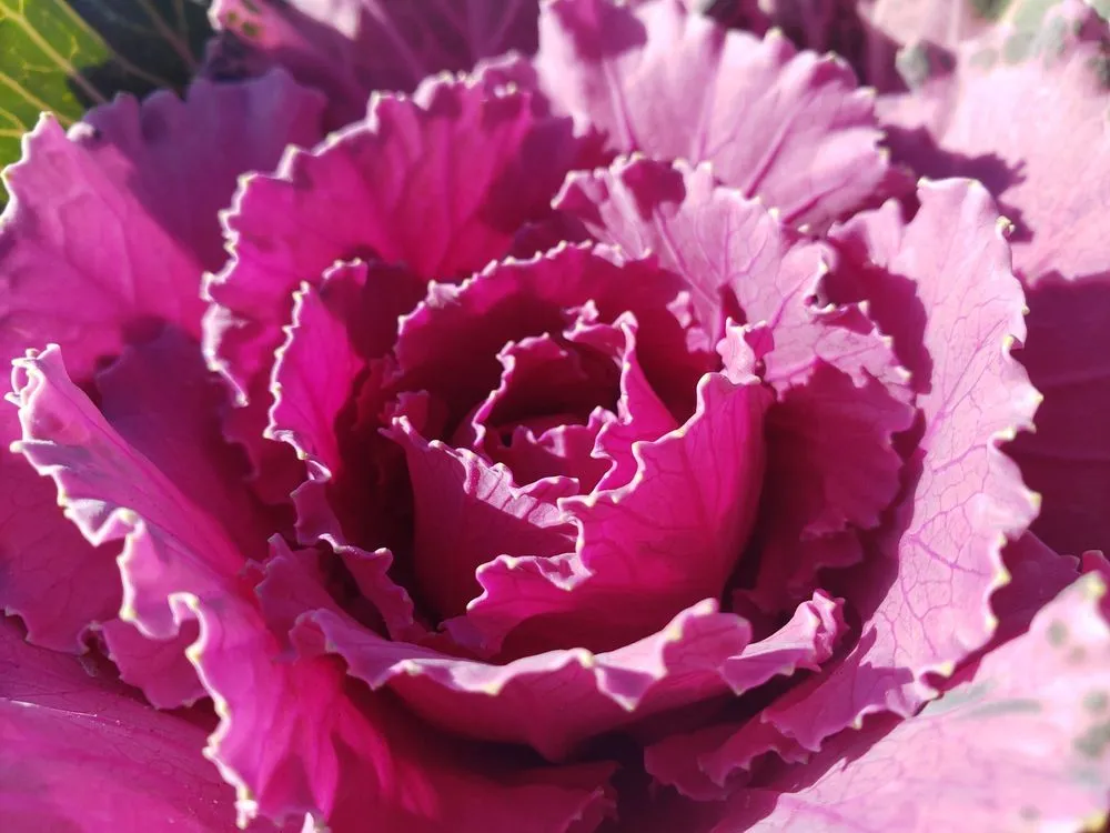 Top-rated landscape installation in Rexburg, ID - Treehouse Nursery & Landscape