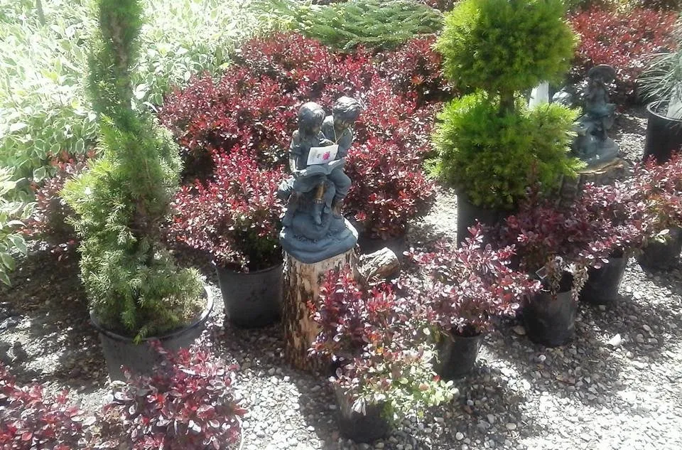 Trusted landscape design in Rexburg, ID by Treehouse Nursery & Landscape