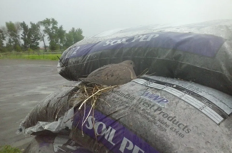 Professional garden landscaping for outdoor upgrades in Rexburg, ID by Treehouse Nursery & Landscape