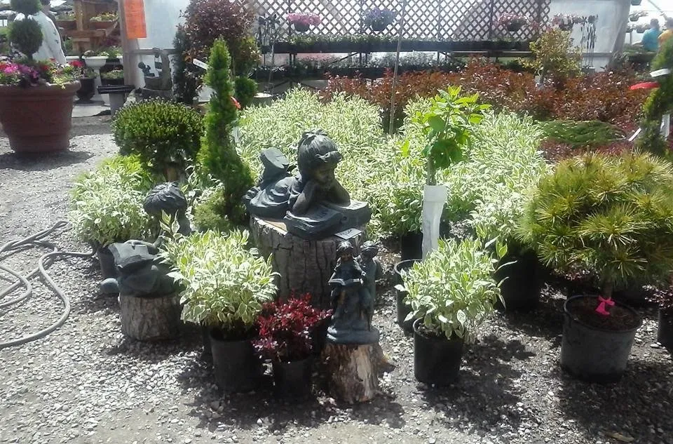 Trusted yard cleanup service for year-round maintenance across Rexburg, ID - Treehouse Nursery & Landscape