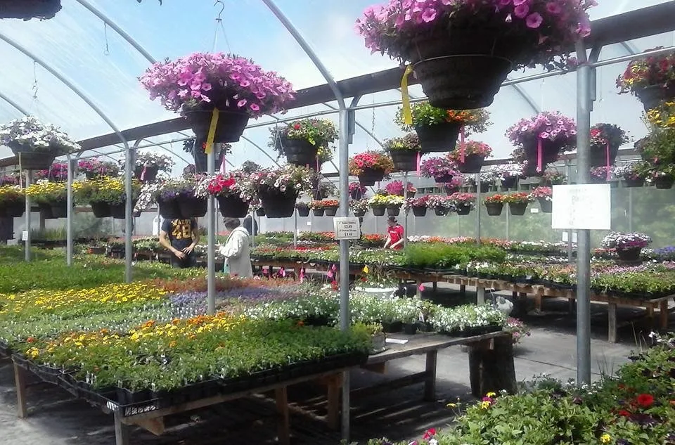 Affordable lawn mowing service with custom design in Rexburg, ID by Treehouse Nursery & Landscape