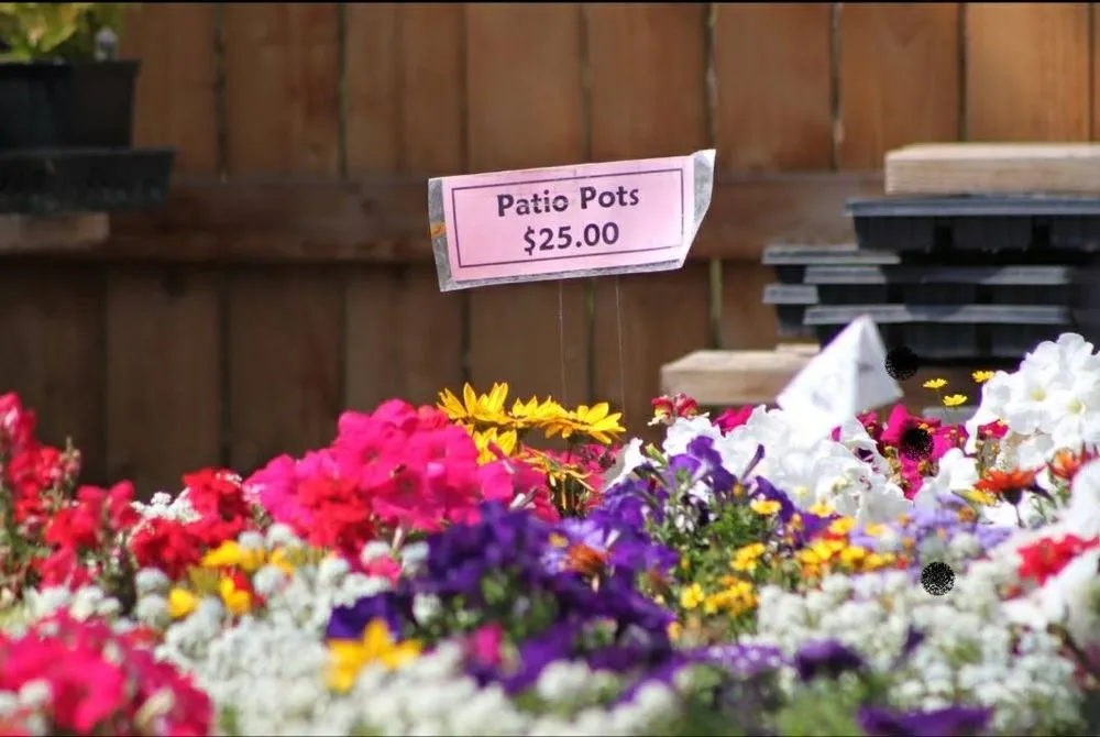 Reliable landscape installation experts serving Rexburg, ID - Treehouse Nursery & Landscape