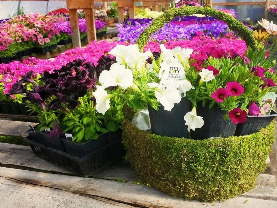 Local outdoor landscaping in Rexburg, ID by Treehouse Nursery & Landscape