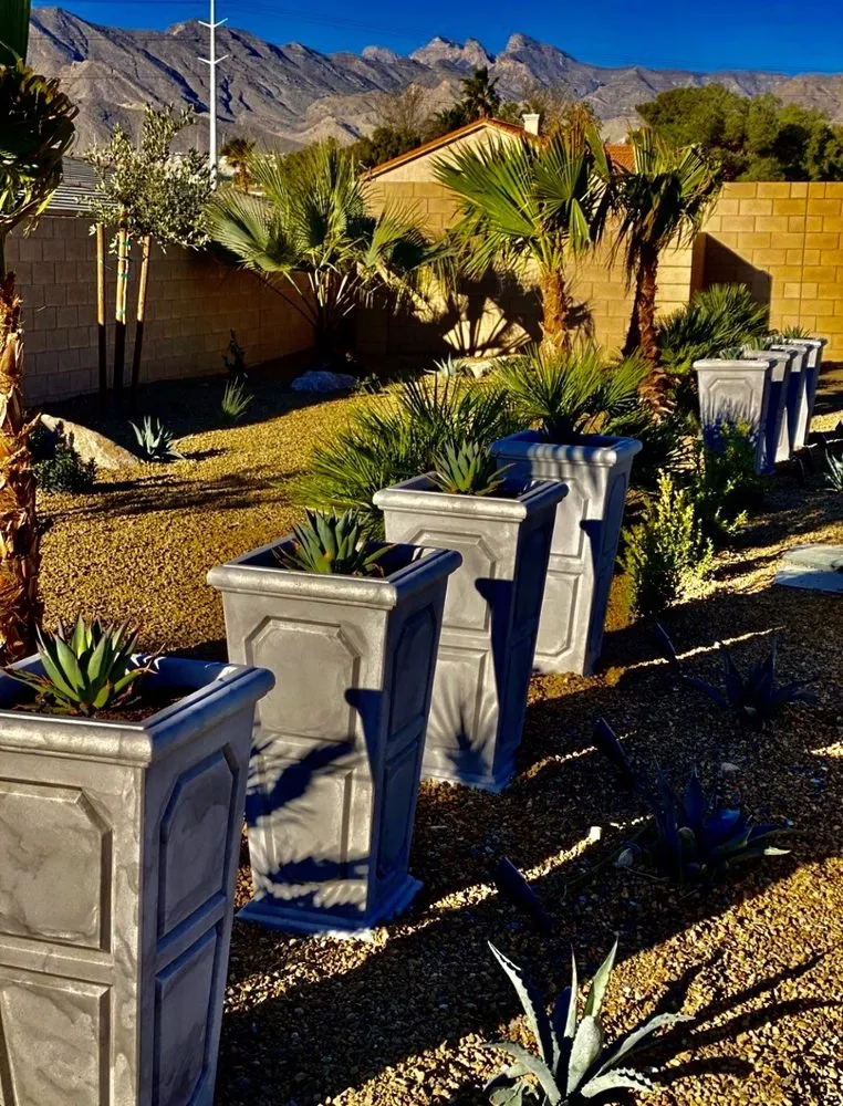 Professional residential landscaping for beautiful yards in Las Vegas, NV by TreeLine Landscape Services