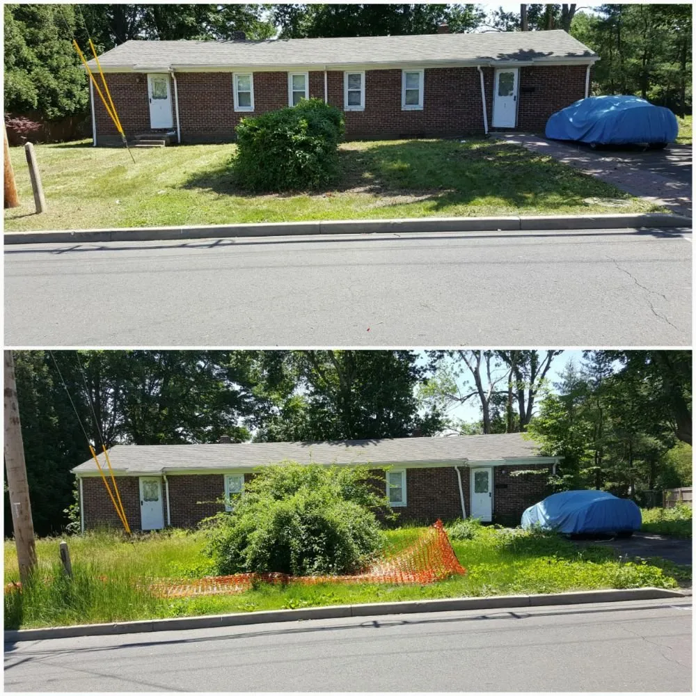 Top-rated lawn mowing service for year-round maintenance in Stratford, CT by TreeLine