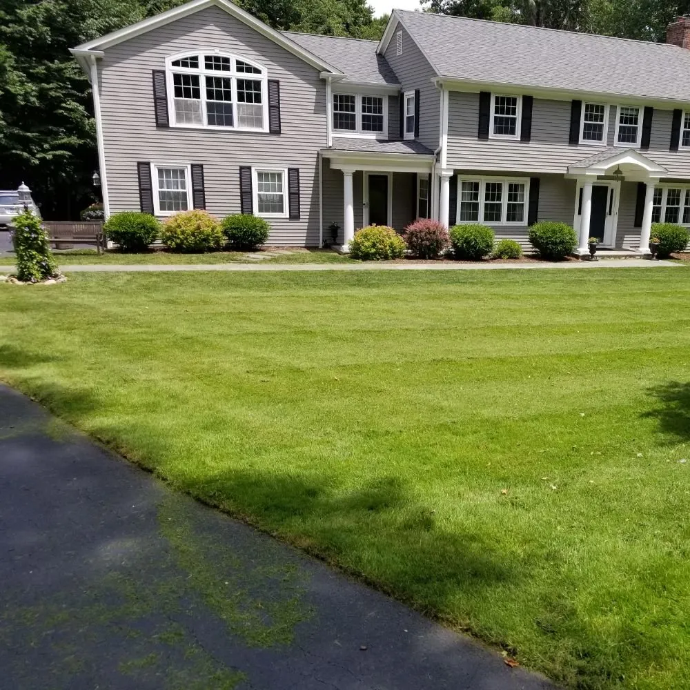 Custom landscape design in Stratford, CT by TreeLine
