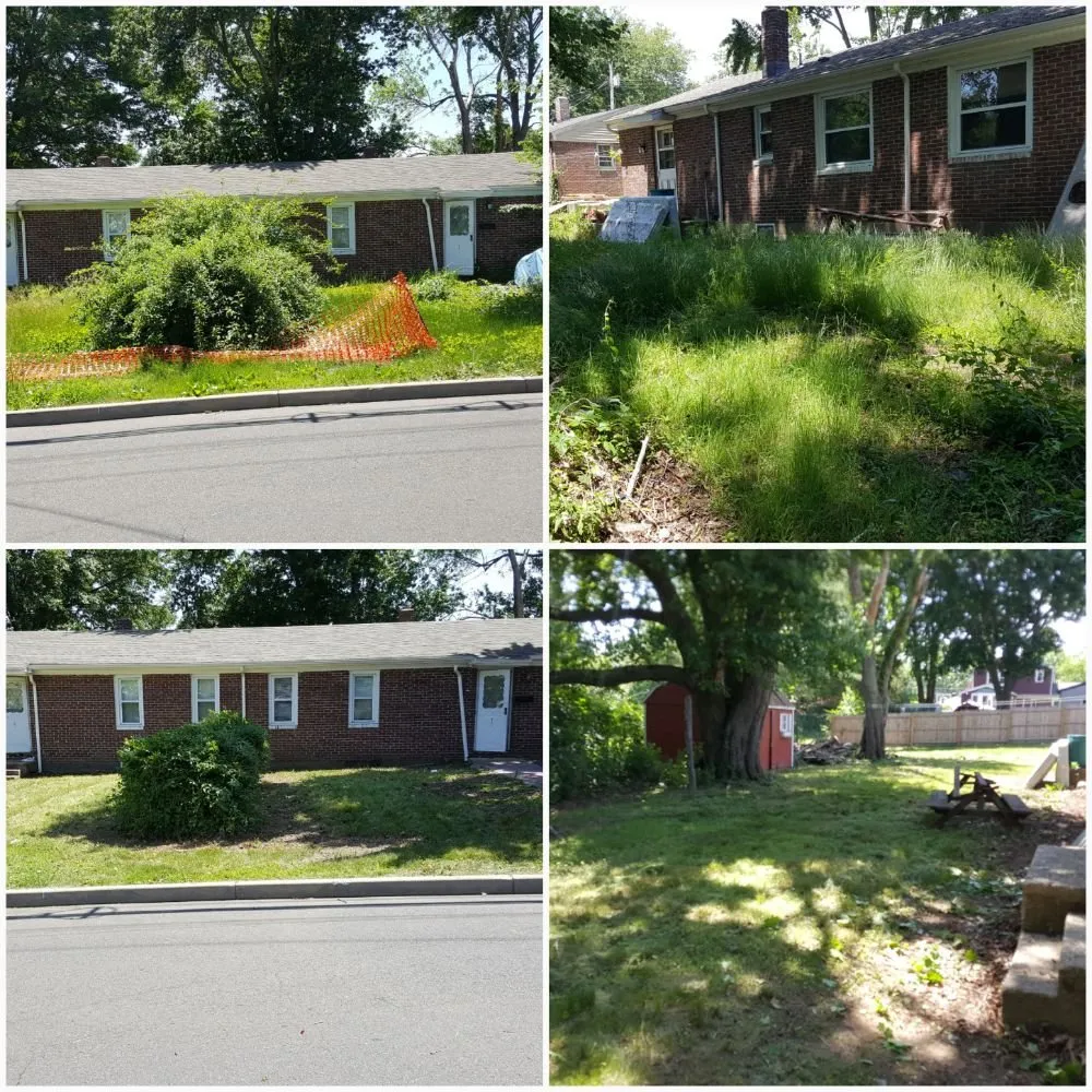 Custom yard maintenance in Stratford, CT by TreeLine