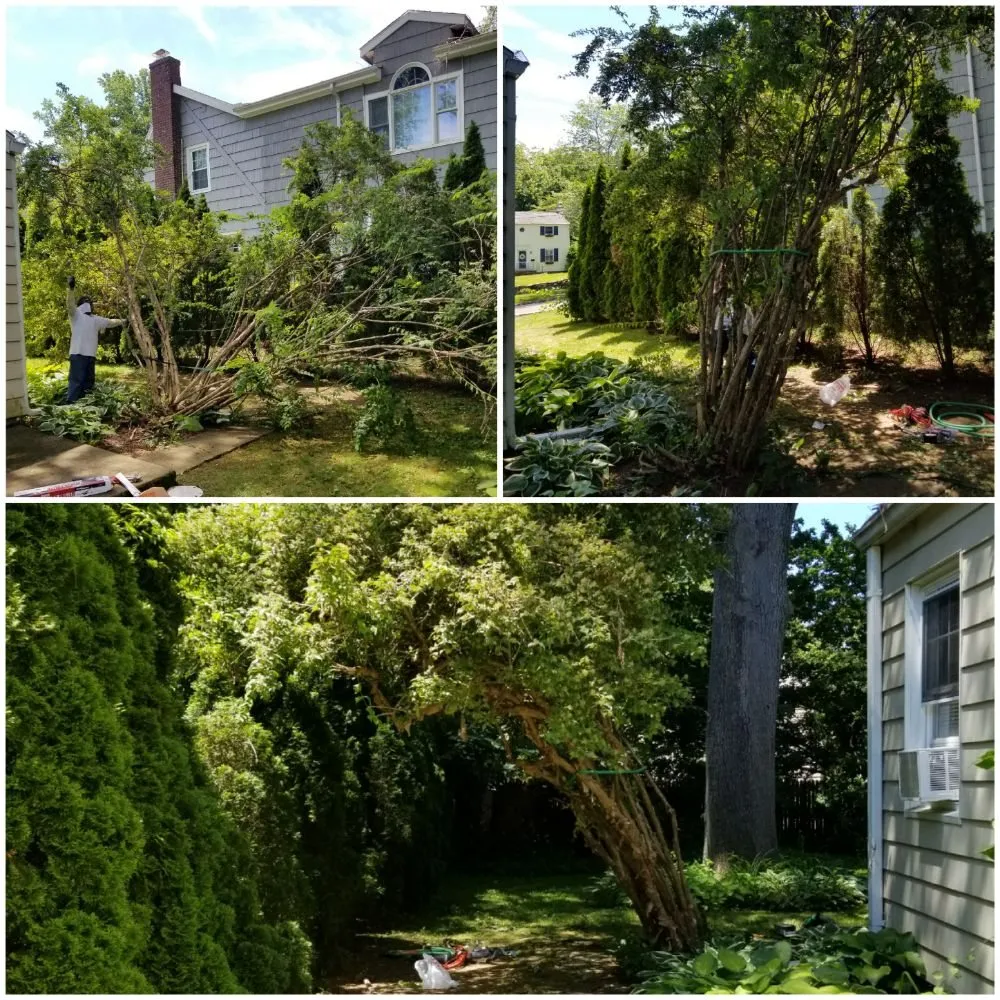 Custom outdoor landscaping with custom design across Stratford, CT - TreeLine