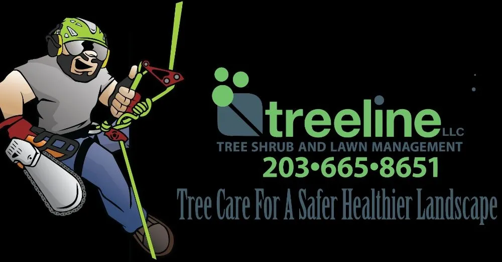 Trusted garden landscaping for year-round maintenance across Stratford, CT - TreeLine