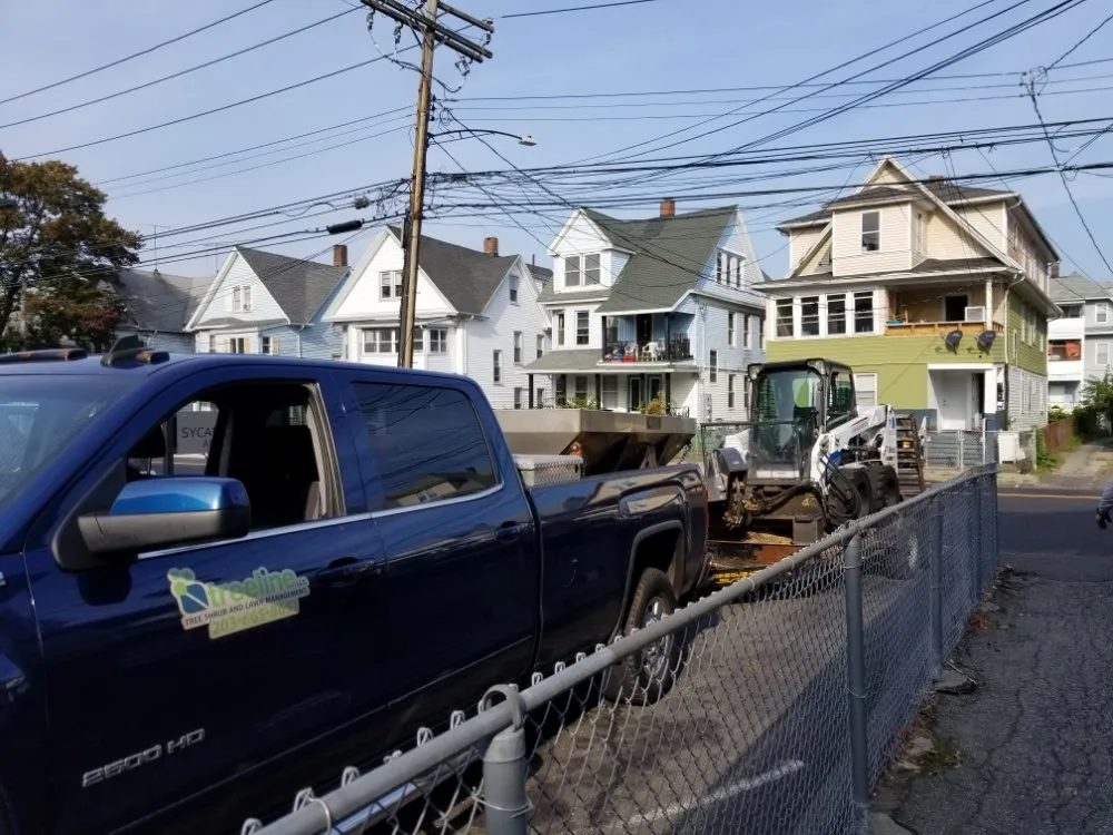 Expert lawn care service for residential properties in Stratford, CT by TreeLine