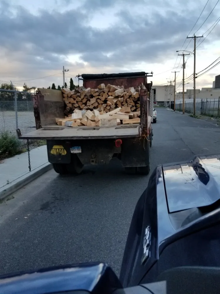 Affordable lawn care service experts serving Stratford, CT - TreeLine