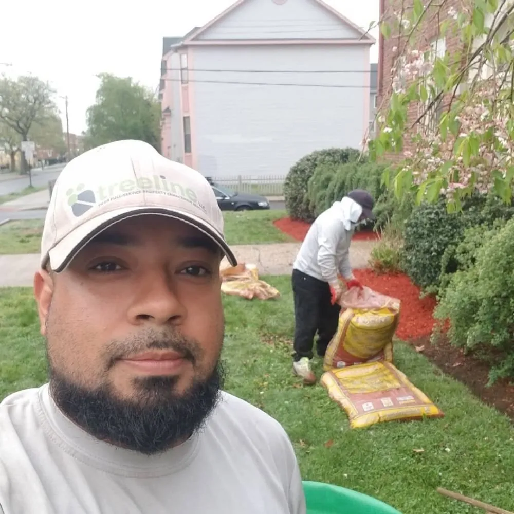 Affordable landscaping services in Stratford, CT - TreeLine