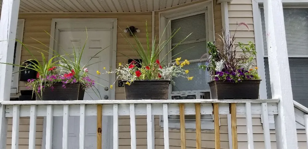 Custom lawn mowing service experts serving Stratford, CT - TreeLine