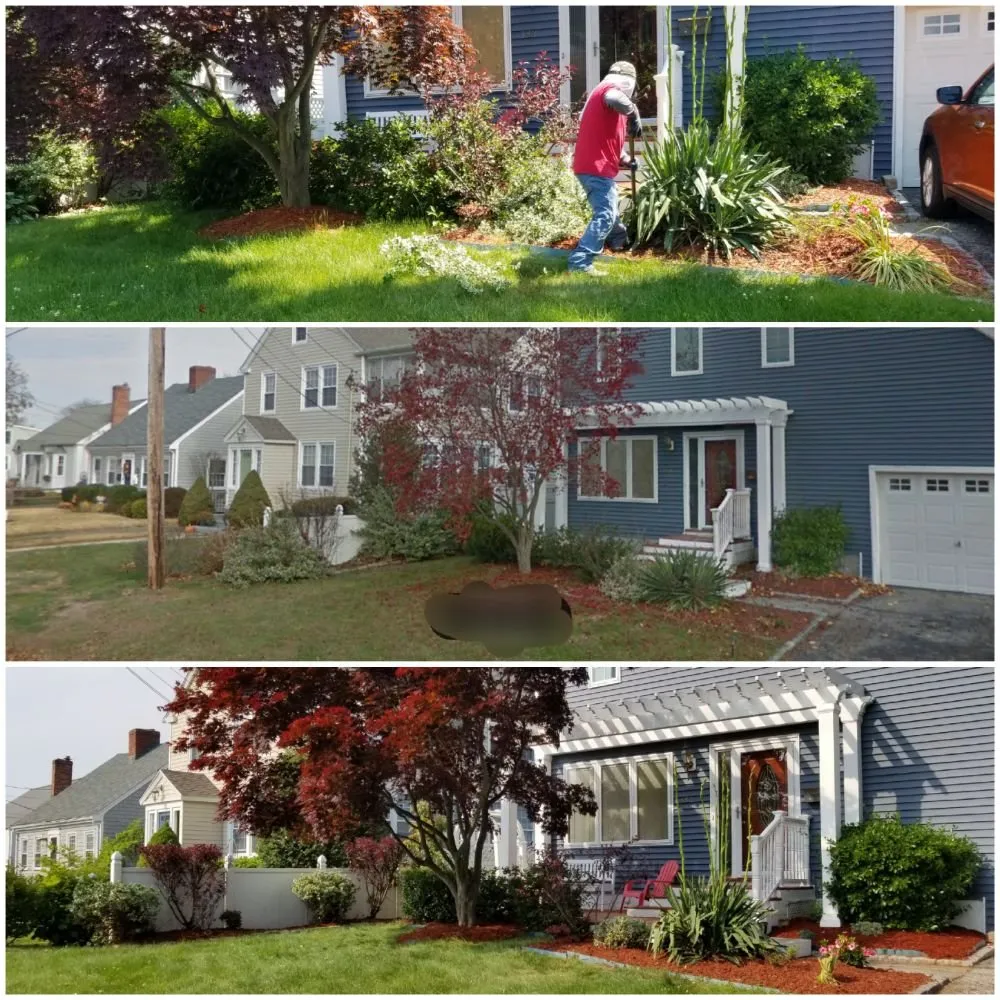 Trusted yard cleanup service for year-round maintenance in Stratford, CT by TreeLine