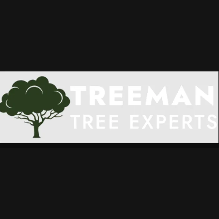 Custom landscaping services in Troy, MI by Treeman Tree Experts