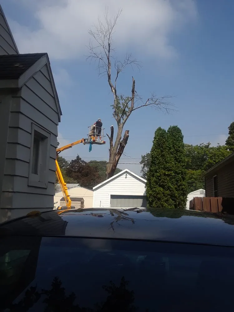 Expert landscape design in Troy, MI by Treeman Tree Experts