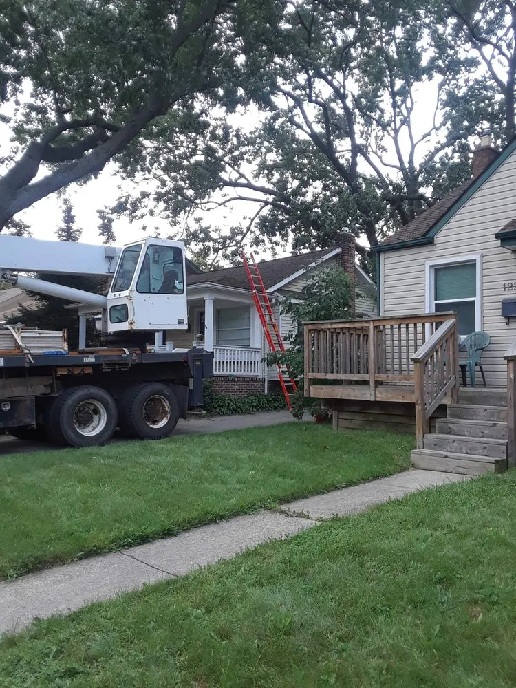 Reliable yard cleanup service in Troy, MI - Treeman Tree Experts