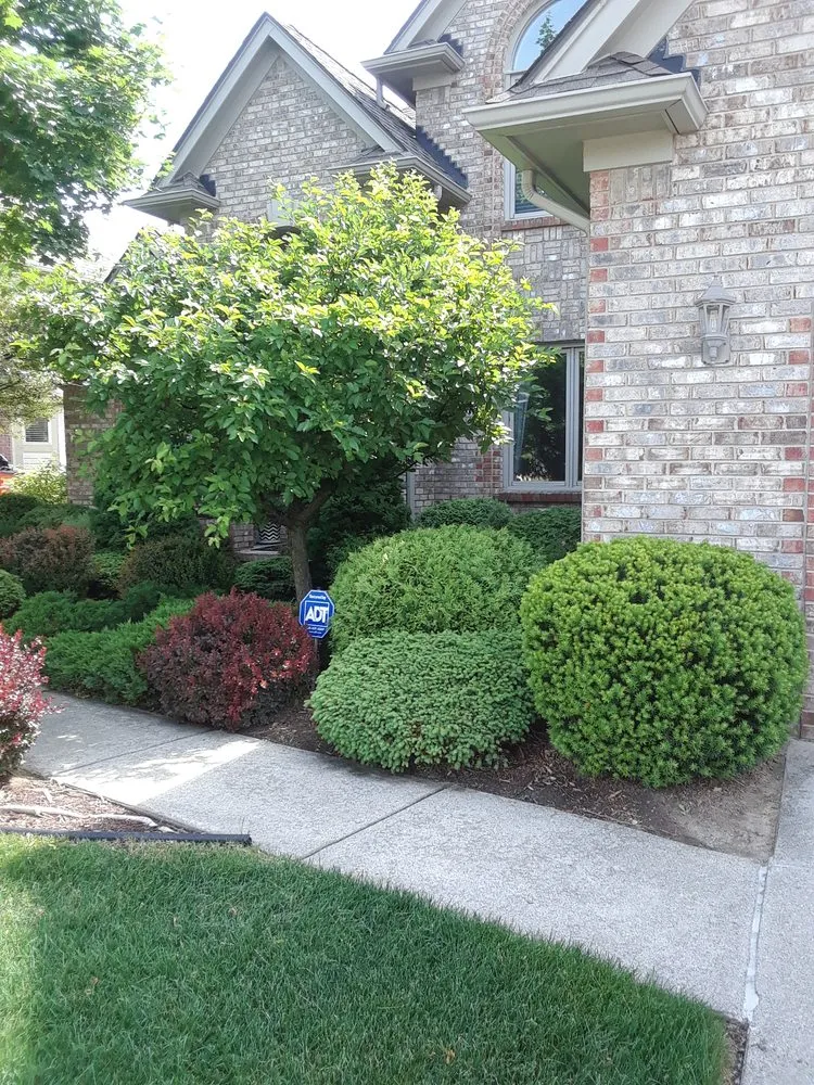 Top-rated lawn care service for homes across Troy, MI - Treeman Tree Experts