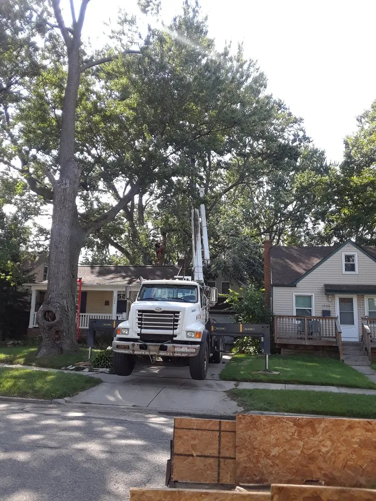 Reliable landscape installation in Troy, MI by Treeman Tree Experts