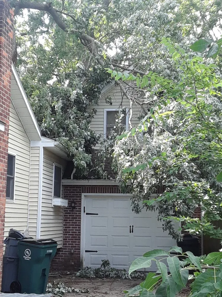 Local lawn mowing service for residential properties across Troy, MI - Treeman Tree Experts