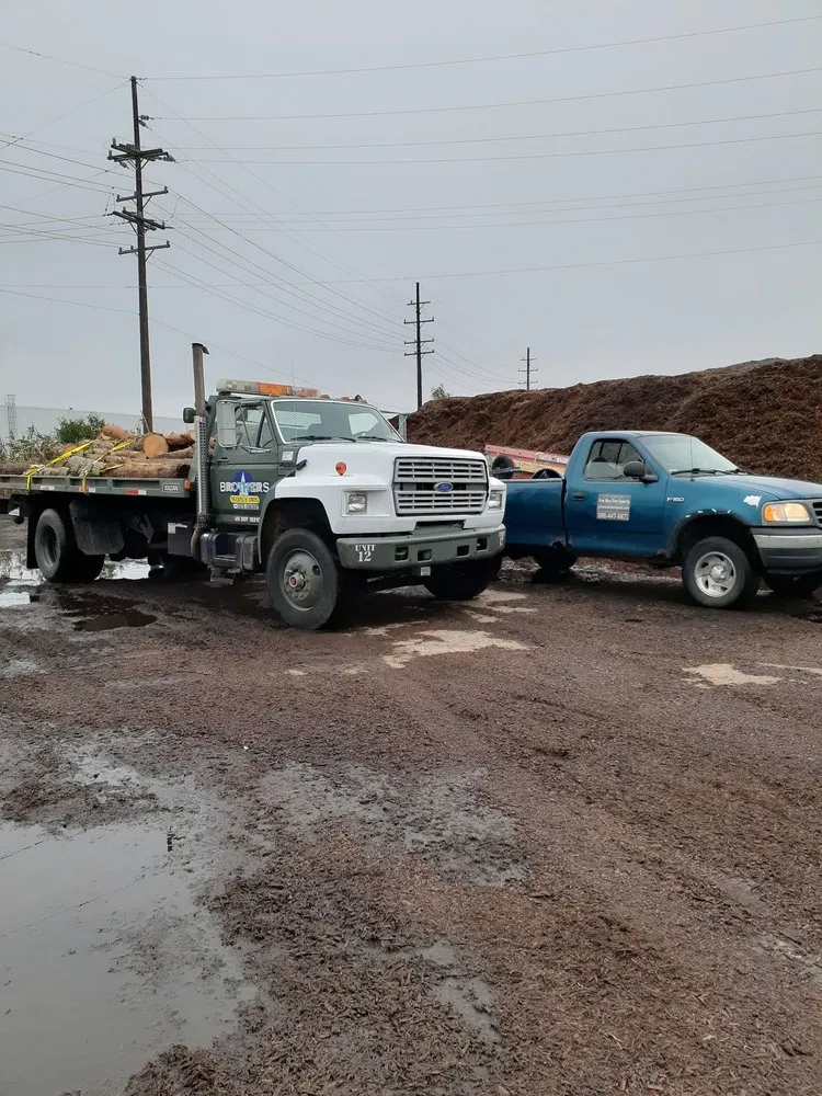 Affordable landscape installation in Troy, MI - Treeman Tree Experts