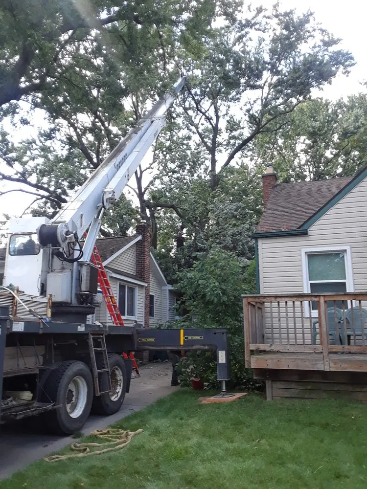 Reliable garden landscaping in Troy, MI - Treeman Tree Experts