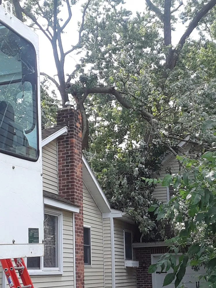 Top-rated landscape design in Troy, MI - Treeman Tree Experts