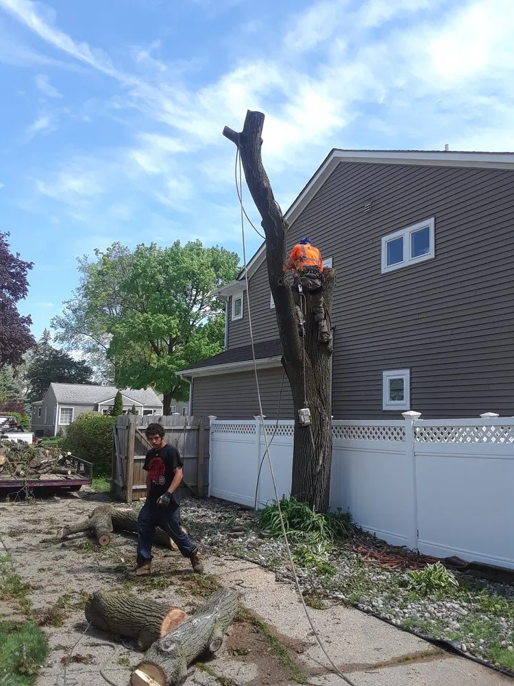Affordable landscape installation with custom design in Troy, MI by Treeman Tree Experts